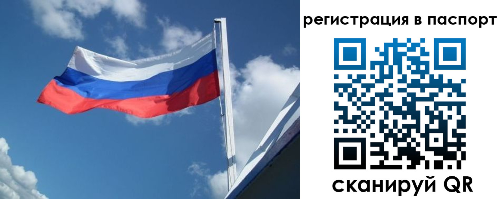 временная регистрация гарантия в Ленинградской области