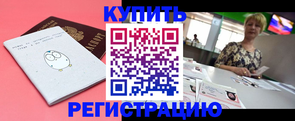 прописка для школы в Ленинградской области